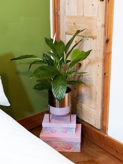 Cosy Cottage In Central Reading Free Parking & Fast Wifi 외부 사진